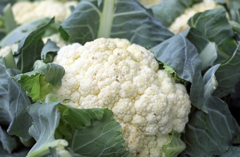 Come Preparare la Pasta con il Cavolfiore